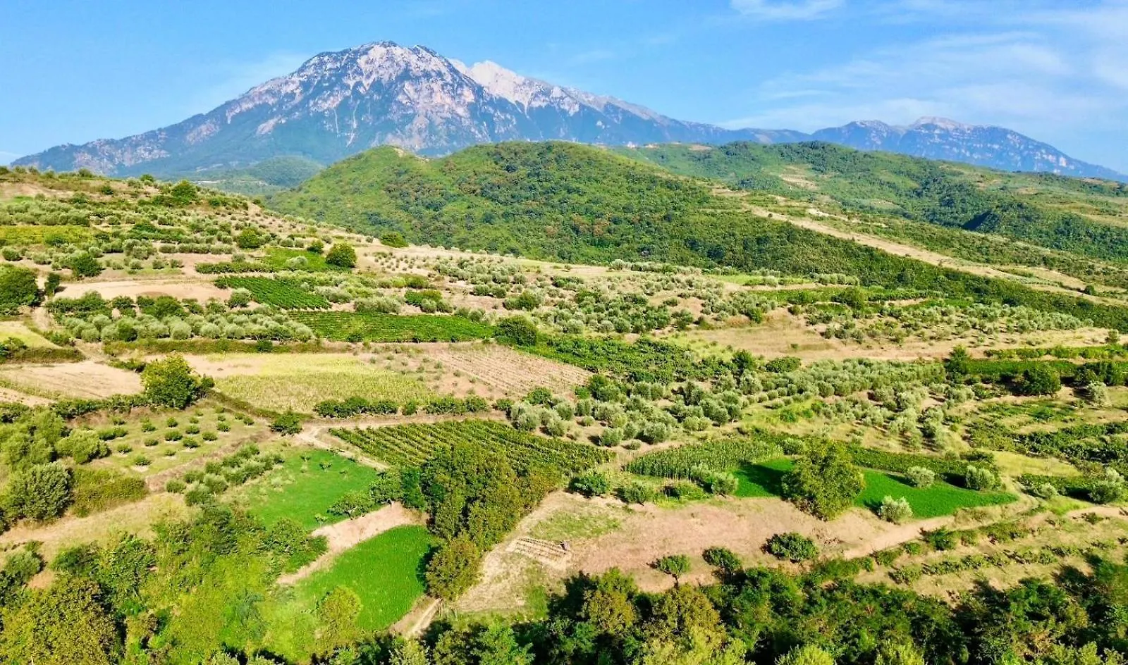Hotel Alpeta Agrotourism&Winery - Roshnik , Berat 0*,